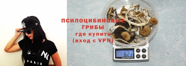 спиды Мегион