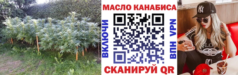 ТГК концентрат Апатиты