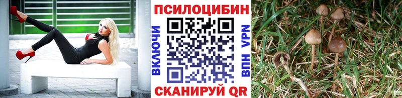 Купить  Апатиты  Галлюциногенные грибы мухоморы 
